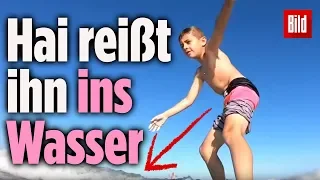 Dieser 9-Jährige hatte riesiges Glück: Ein Hai warf ihn von seinem Surfboard