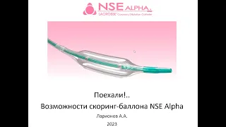 2023.04.12 Возможности и горизонты использования скоринг баллона NSE Alpha - Ларионов А.А.