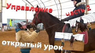 Управление лошадью. Посадка всадника, учебная рысь. часть 2.