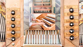 NEW Baroque Organ for HAUPTWERK - Full Demonstration of the Bayr-Organ (I/10) Sampleset - Paul Fey