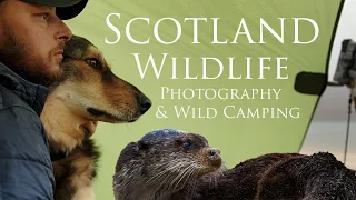 Scotland | Wildlife Photography, Otters & Wild Camping