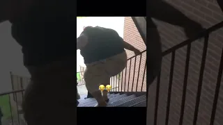 Girl falls down stairs trying to fight then explodes