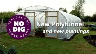 New polytunnel new plantings, May to early June, with the annual no dig soil prep