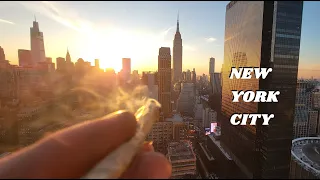 MADE IN NEW YORK