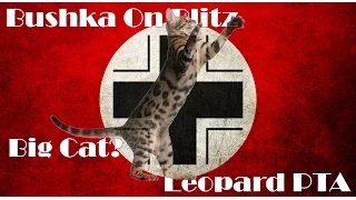 World Of Tanks Blitz Leopard PTA Guide Review Gameplay