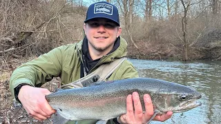 Steelhead fishing Lake Erie Tribs, Erie PA, Steelhead Alley, Big brown landed!