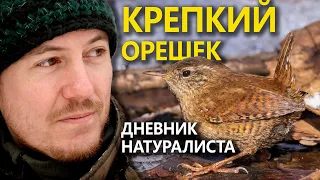 Дневник натуралиста. Крепкий Орешек