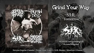 Nervous Impulse/Trepan'Dead/S.I.R./MoreGore - Grind Your Way PROMO HQ (2019-Deathgrind/Grindcore)