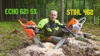 Forest job / Těžba borovic - Stihl 462 vs. Echo 621 SX #363