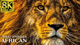 Majestic Wild Animals of AFRICAN 8K HDR 60FPS ULTRA HD - Animals The Planet with REAL Nature Sounds
