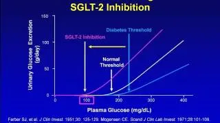 Does SGLT-2 Inhibition Have a Role in the Management of Diabetes?