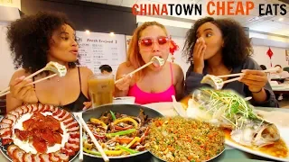 CHINATOWN CHEAP EATS (TORONTO) ft. VERONICA WANG! | Osh and Akela