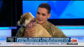 From Afghanistan with love: Soldiers reunited with dogs they promised to not leave behind