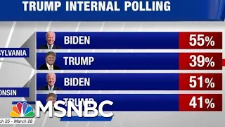 Trump’s Early Internal Polling Shows Him Behind Joe Biden In Battleground States | Hardball | MSNBC