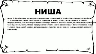 НИША - что это такое? значение и описание