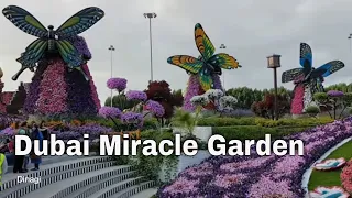 Miracle Garden Dubai 🌼🌺 Gina's World Record (📽️ 01)