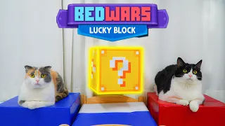 This time, it's lucky block mode! (ENG SUB)