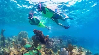 Key West Snorkeling At The Coral Reef With Fury Water Adventures