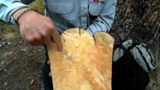 Fire in the Forests - Part 3: Fire and Douglas Fir - Banff National Park