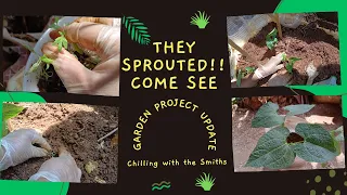 Vegetable Garden update - They Sprouted!!! Come See!!! |Family Vlog|