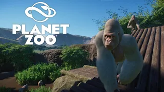 Albino Gorilla Habitat Tour- Planet Zoo