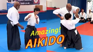 Amazing Aikido in the UK