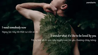 [Vietsub] Wonder/In My Blood - Shawn Mendes (Mashup)