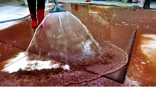 Full Of Slime and Muck! Carpet cleaning satisfying ASMR