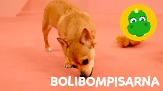 Bolibompa Mini: Bolibompisarna – Avsnitt 8