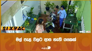 මල් පැළ වලට ආස නැති යකෙක්