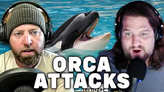 Why Are These Orcas Attacking Boats?