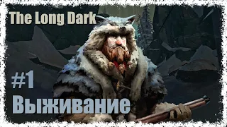 The Long Dark - #1 Выживание