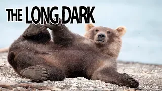 Выживание The Long Dark Сезон 2 #20 Мише плохо, походу криминал