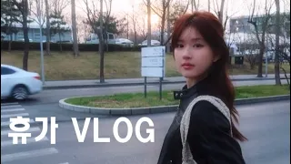 드디어 왔다 조로사 긴 VLOG