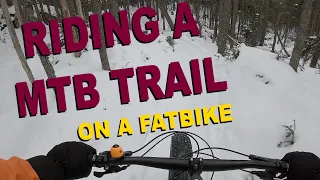 Riding a MTB trail on a Fat Bike