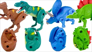 卵に変身！恐竜おもちゃ ティラノサウルス トリケラトプス ステゴサウルス パキケファロサウルス