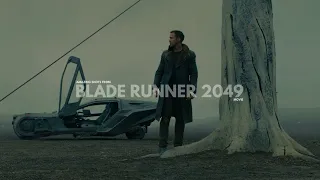 Beauty Of Blade Runner | Amazing Shots Of Blade Runner 2049