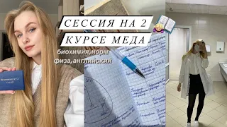 сессия на 2 курсе меда | биохимия, нормальная физа и английский 📚🙇🏼‍♀️