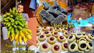 a banana é a fruta do momento aqui no sítio//dicas de cultivo //várias receitas