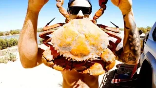 REMOTE CAMPING WITH NO FOOD Giant Mud Crab Catch & Cook - Ep 150