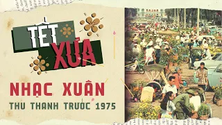 Nhạc Xuân thu thanh trước 1975 - Mộng chiều Xuân, Cánh thiệp đầu Xuân