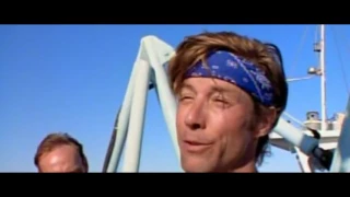 Flipper 1995 S01E02 Treasure Hunt