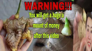 WARNING! You will get a huge a mount of money after this video-Apple Paguio7