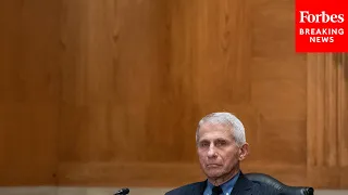 "For Crying Out Loud": GOP Senator Tears Into Fauci Over Funding To Wuhan Institute Of Virology