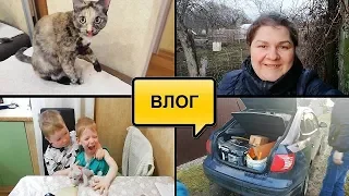 ЧТО БЫЛО С КОШКОЙ//ТОЛЬКО ТАК И НИКАК ИНАЧЕ//ПЕРЕВОЗИМ ТО ЧТО НУЖНО//НАШЕ УТРО//БУДНИ МАМЫ//ВЛОГ