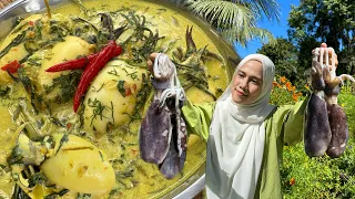 GULAI LEMAK SOTONG BUNCIT SUMBAT TAUHU DAN TELUR | NIKMAT TAK TERKATA ‼️