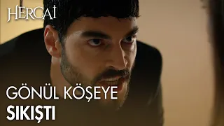 "Andım olsun seni boşarım GÖNÜL!"  -Hercai Efsane Sahneler