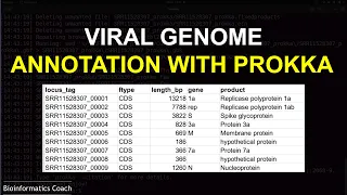 Viral genome annotation wth prokka