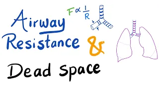 Airway Resistance & Dead Space | Respiratory Physiology