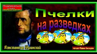 Пчелки на разведках ,Константин Ушинский,Рассказы детям , читает Павел Беседин